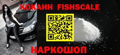 крисы Можга