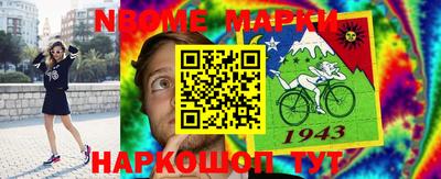 крисы Можга