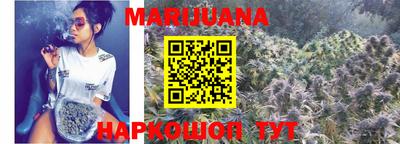 крисы Можга