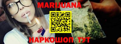 крисы Можга