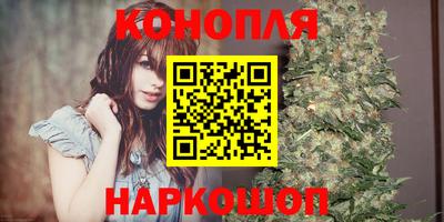 крисы Можга
