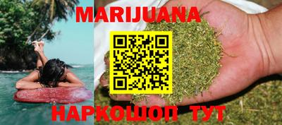 крисы Можга