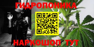 эйфоретик Моздок