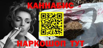 крисы Можга