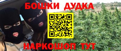 крисы Можга