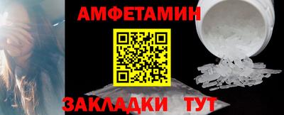 крисы Можга