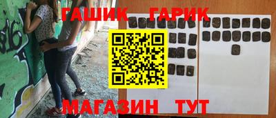 крисы Можга