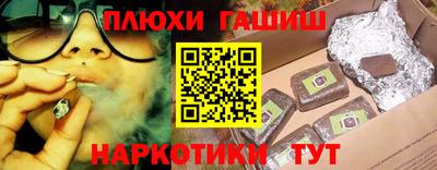 крисы Можга