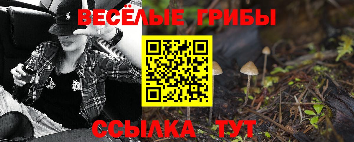 наркота  Галлюциногенные грибы GOLDEN TEACHER  Вход с VPN  Сухой Лог  Галлюциногенные грибы ЛСД 