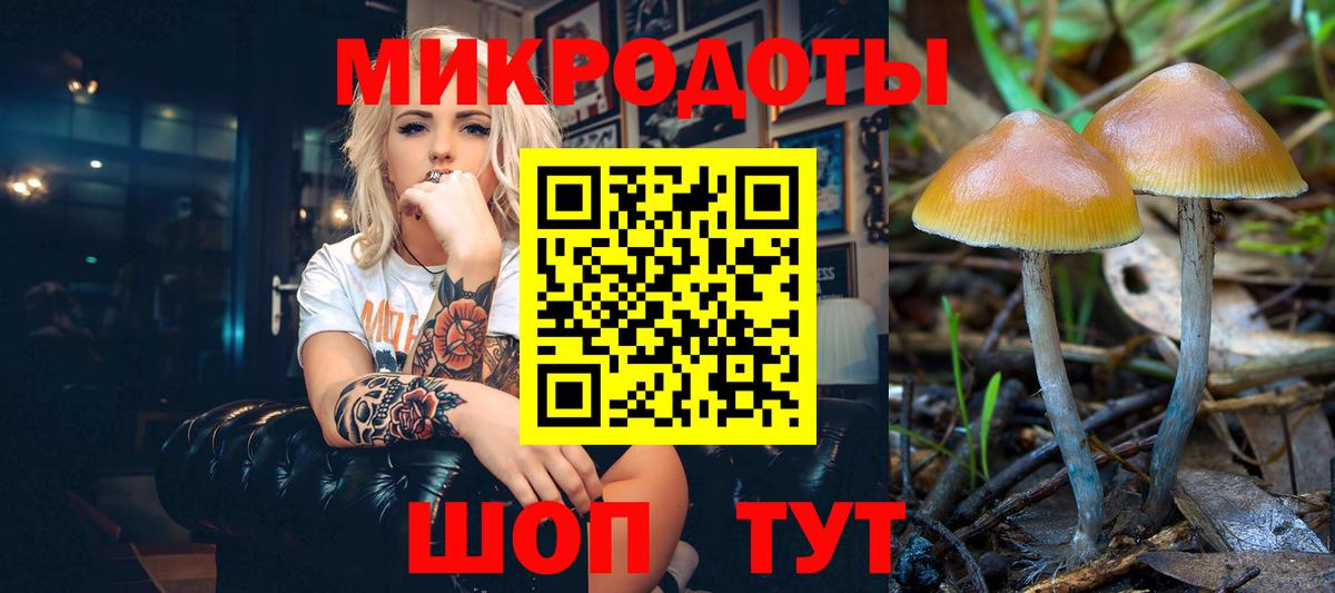 Псилоцибиновые грибы Psilocybine cubensis Сухой Лог